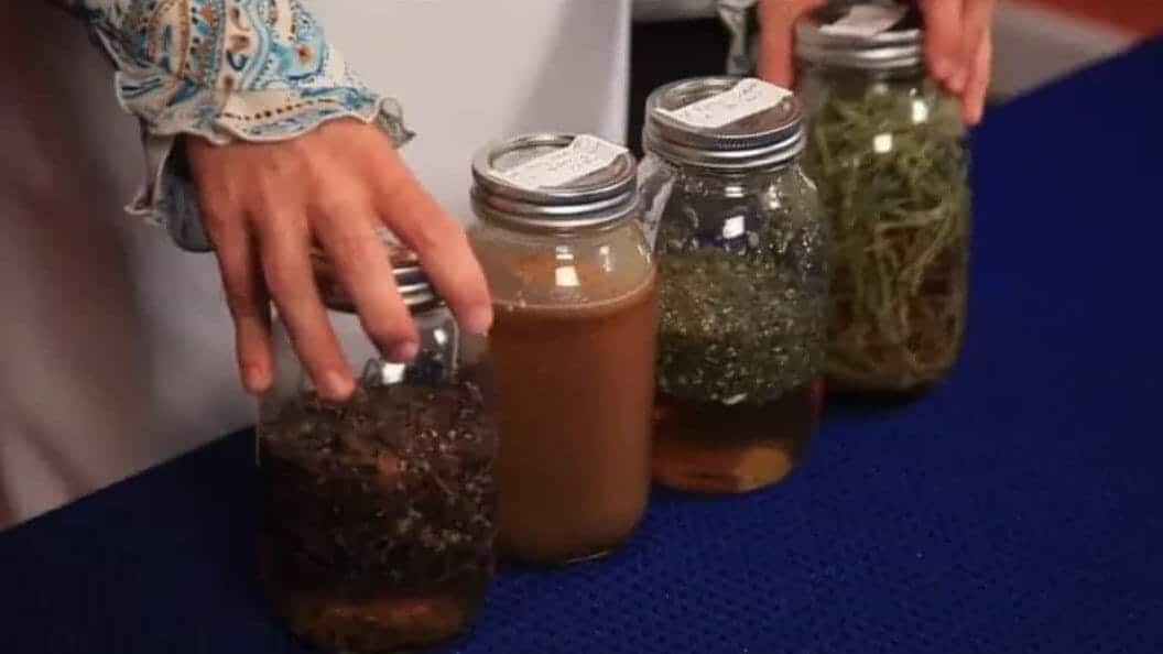 Read more about the article Making Tinctures Class 8/14 Summary