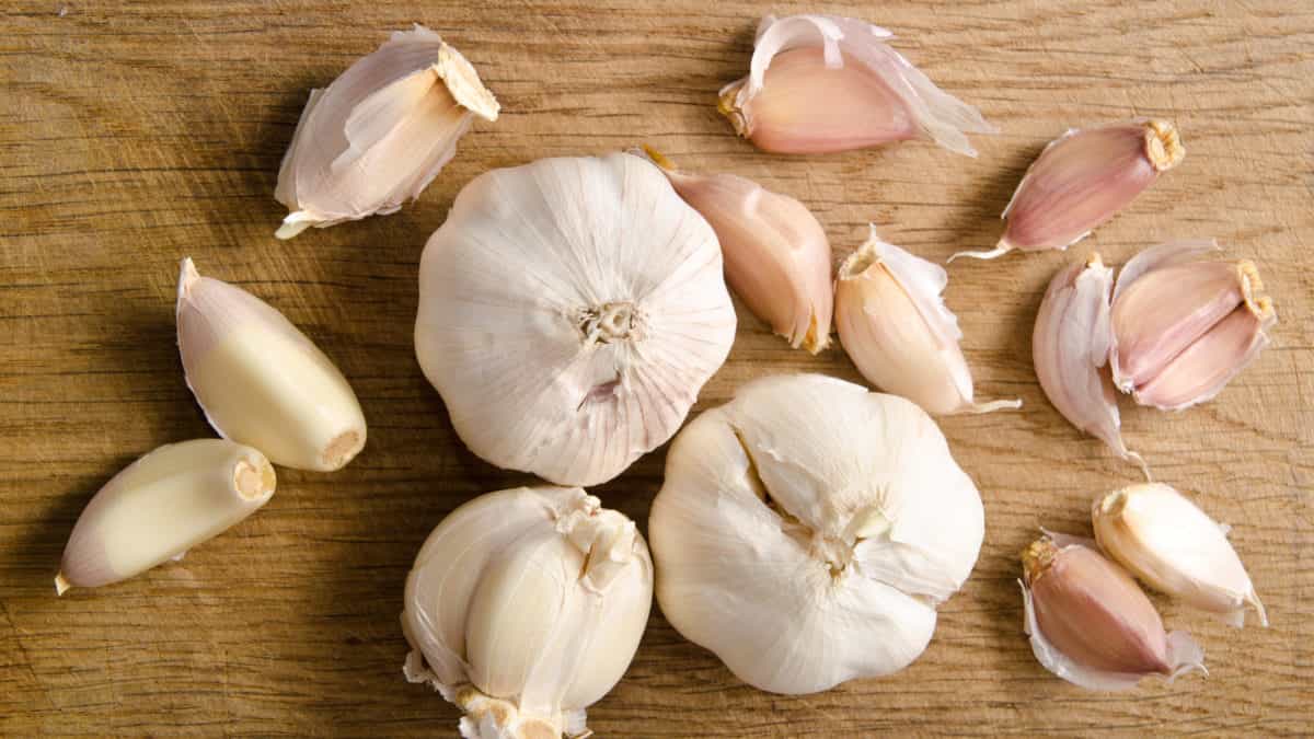 Read more about the article USES – GARLIC: Garlic In Your Ear