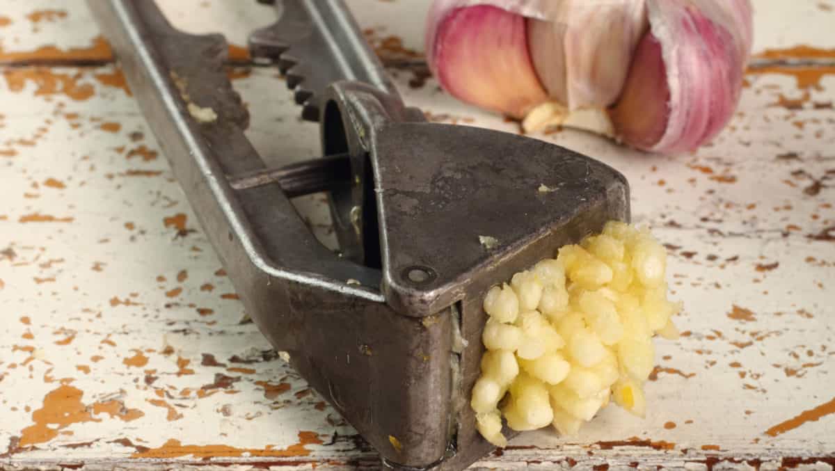 Read more about the article USES – GARLIC: Garlic Shooter