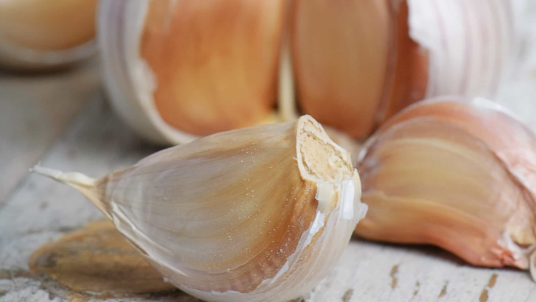 Read more about the article USES – GARLIC: Garlic Suppository