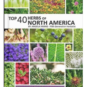 Top 40 Herbs of North America